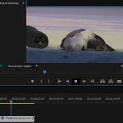 Как Отразить Видео По Горизонтали Вертикали Adobe Premiere Pro Cc