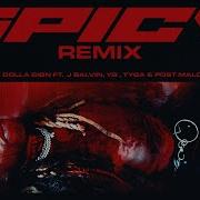 Spicy Remix Feat J Balvin Yg Tyga Post Malone