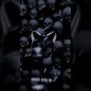 Фонк На Скрипке
