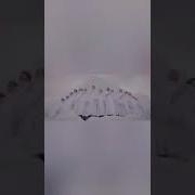 Рингтон Отпусти И Забудь На Английском