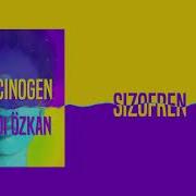 Dj Ferdi Özkan Şizofren Official Audio