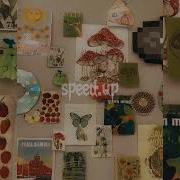 Zhanulka Портреты Speed Up Music Hana