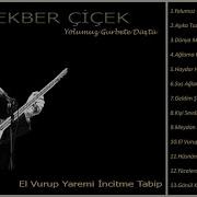 Ali Ekber Çiçek