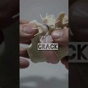 Neck Snap Sound Effect No Start Delay