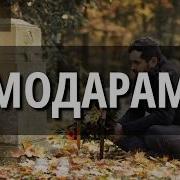 Тифл Мондам Аз Ту Модар