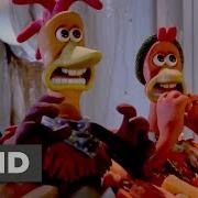 Run Chicken Run Are You Scared