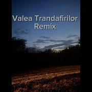 Valea Trandafirilor Remix