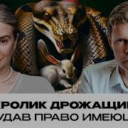 Кролик Дрожащий Или Удав Право Имеющий Екатерина Шульман И Александр Баунов Бауновкаст