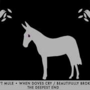 When Doves Cry Beautifully Broken Gov T Mule The Deepest End