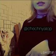 Тешнабехк Кеч Бина