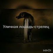 Какой Ты Scp По Знаку Зодиака