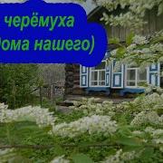 Черемшина Разбор На Гармони С Цифрами