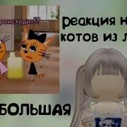Мега Большая Реакция На Трёх Котов Из Лайка