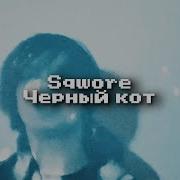 Sqwore Черный Кот