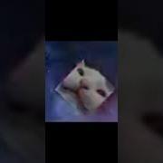 Фортнайт Или Бабаджи Мем С Котом В Космосе