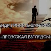 Александр Гросс Провожая Взглядом