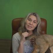 Аудио Сказка Медитация Чай С Жасмином