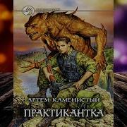 Артем Каменистый Практикантка