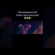 Ледниковый Период Бабуля Тик Ток