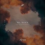 Faster Than Light Avicii
