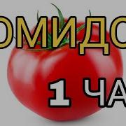 Помидоры 1 Час
