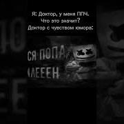 Пися Попа Жопа Член