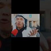 Мяу Мяу Гав Гав Гав