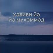 Нашид Я Ман Саллайта