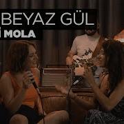 Gul Beyaz Gul