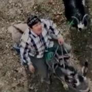Кой Сен Адам Падам Бовойсун Дейтко