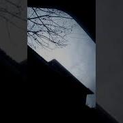 Ажойип Ручной Ут Майдалагич Ajoyip Ruchnoy Ut Maydalagich