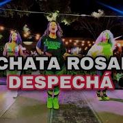 Despechá Rosalía Zumba Bachata Version Djc