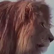 Самый Красивый Нашид Нашид هيا بنا نعلو