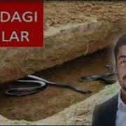 Ilon Bilan Gaplashgan Odam