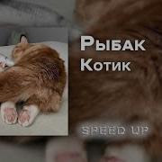 Мой Котик Sreed Up