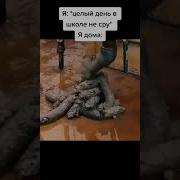 Я Хочу Ссать Срать