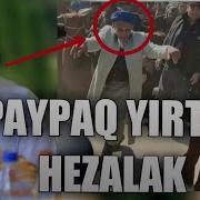 Shukurulloh Domla O Zbeklar Xaddidan Oshdi