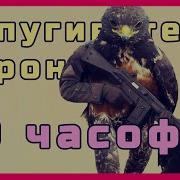 Звуки Хищных Птиц Против Ворон И Голубей