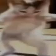 Ай Ляй Ля И Ля