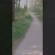 Как Платил Незнайка За Свои Вопросы