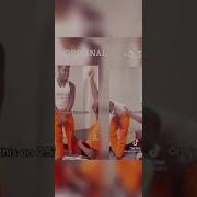 Nippa Nigga Meme