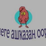 Эмнеге Ашказан Ооруйт Bilesinbi Kg