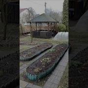 Странная Зима