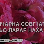 Вешина Лерина Эшар Винчу Денца