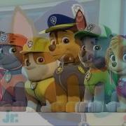 Аудиосказка Для Детей Щенячий Патруль Щенки Спасают Сладости Paw Patrol