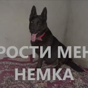 Беги По Радуге Мое Солнышко