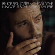 Bruce Springsteen New York City Serenade