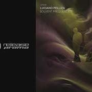 Luciano Pelliza Solvent Frequencies