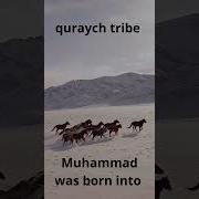 Мухаммад Пайгамбар Тарихи