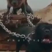 Трек Гио Пика Стая Валков